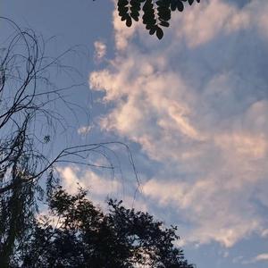 老师脱了裙子让我喝她尿
