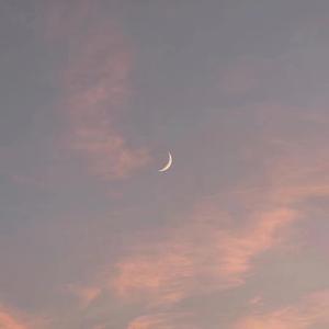 老师脱了裙子让我喝她尿
